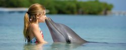 Отдых с детьми на море: парки развлечений, аквапарки, аквариумы, дельфинариумы